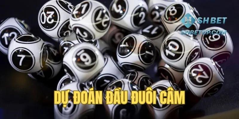 Biết trước kết quả chiều nay cùng đầu đuôi câm