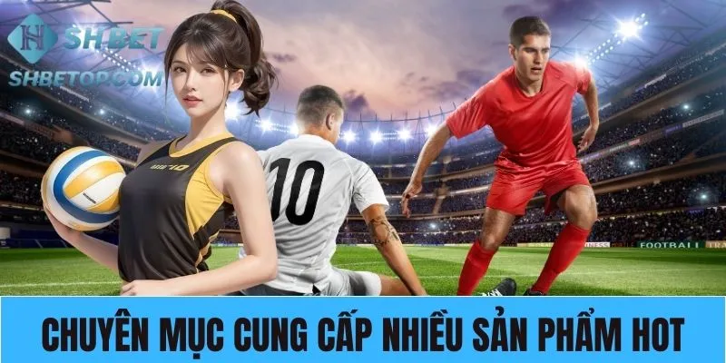 Các loại hình giải trí đẳng cấp chỉ có tại IM thể thao