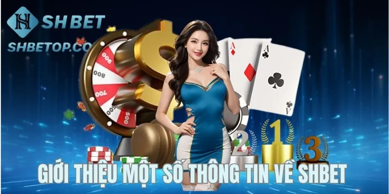 Giới thiệu Shbet với thông tin cơ bản