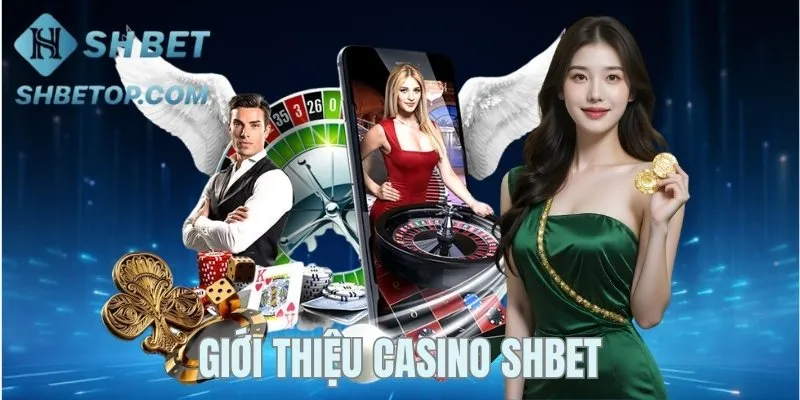 Sơ lược về chuyên mục Casino Shbet
