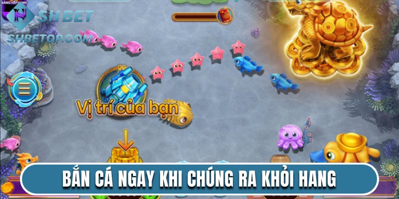 Cách chơi bắn cá hiệu quả ngay khi chúng ra khỏi hang