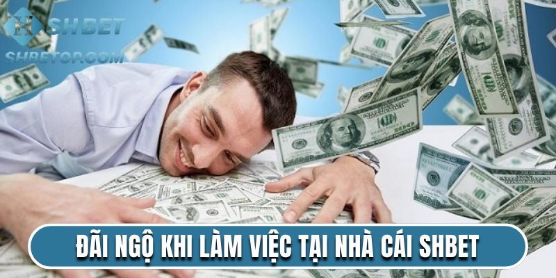 Đãi ngộ khi làm việc tại nhà cái Shbet