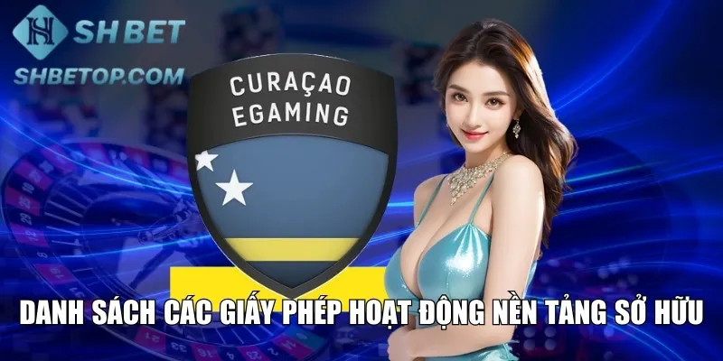 Danh sách các giấy phép hoạt động nền tảng sở hữu