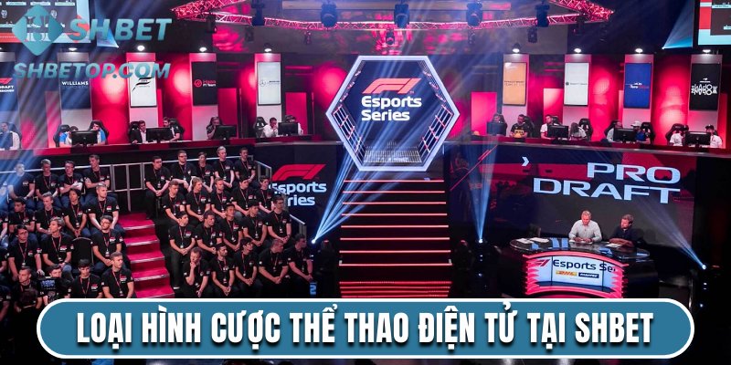 Loại hình cược thể thao điện tử tại Shbet