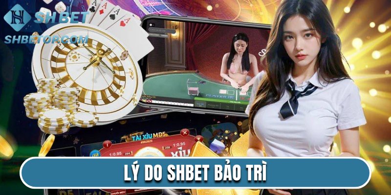 Lý Do Shbet Bảo Trì - Nguyên Nhân Và Cách Xử Lý Tối Ưu