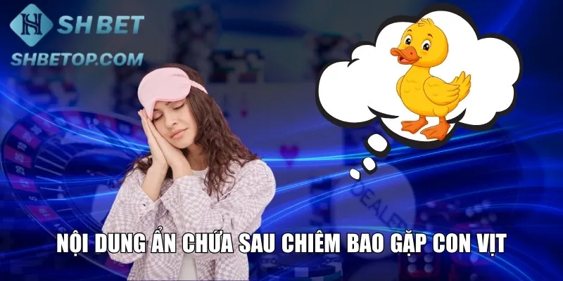 Nội dung ẩn chứa sau chiêm bao gặp con vịt